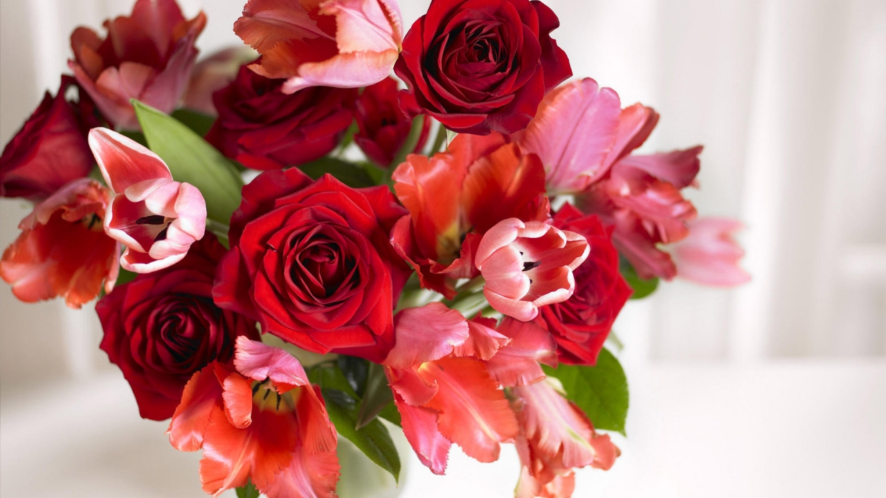 Arrangement of Roses and Tulips for 1280 x 720 HDTV 720p resolution