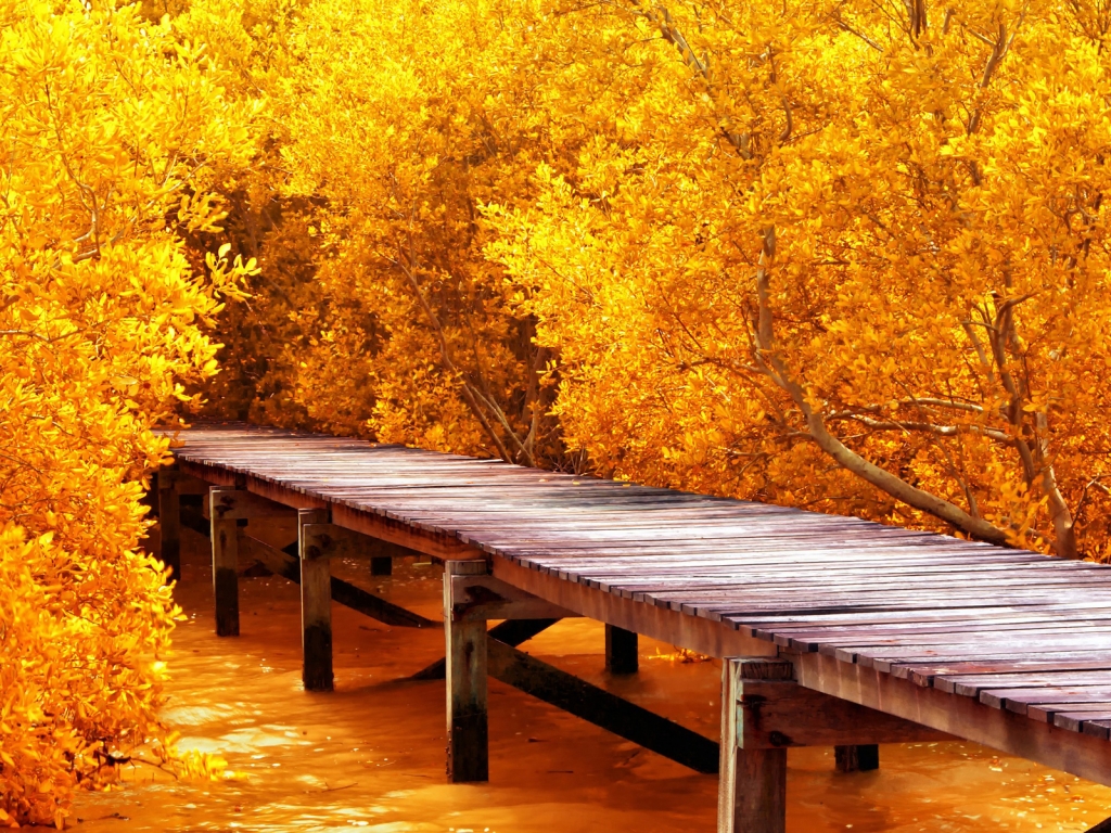 Autumn Yellow Trees for 1024 x 768 resolution