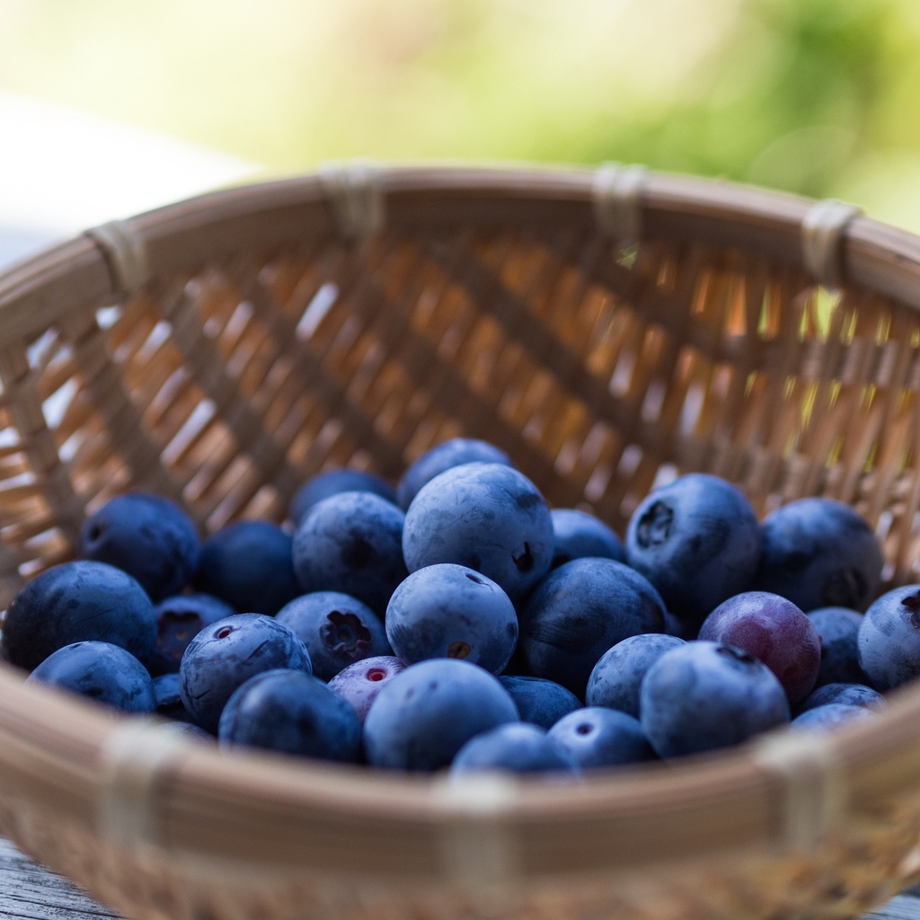 Basket of Blueberries for 1024 x 1024 iPad resolution