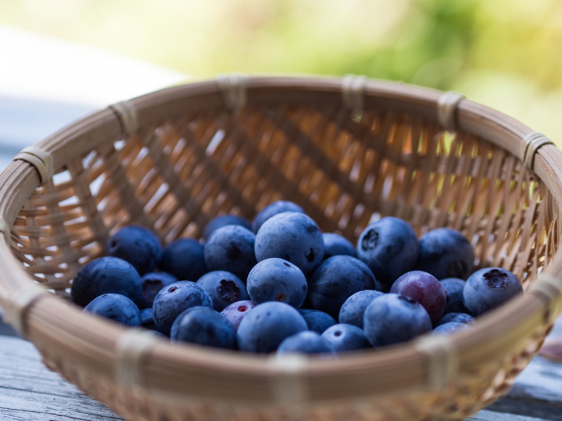 Basket of Blueberries for 1152 x 864 resolution