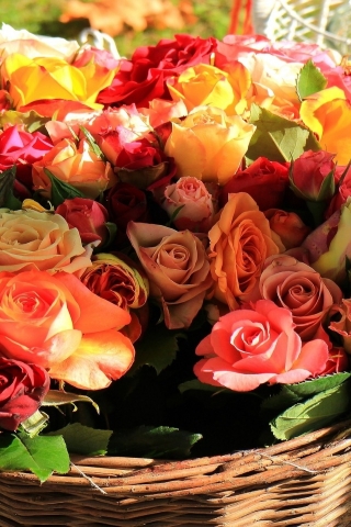 Basket of Roses for 320 x 480 iPhone resolution