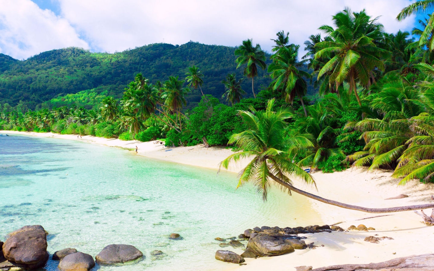 Beautiful Exotic Beach for 1440 x 900 widescreen resolution