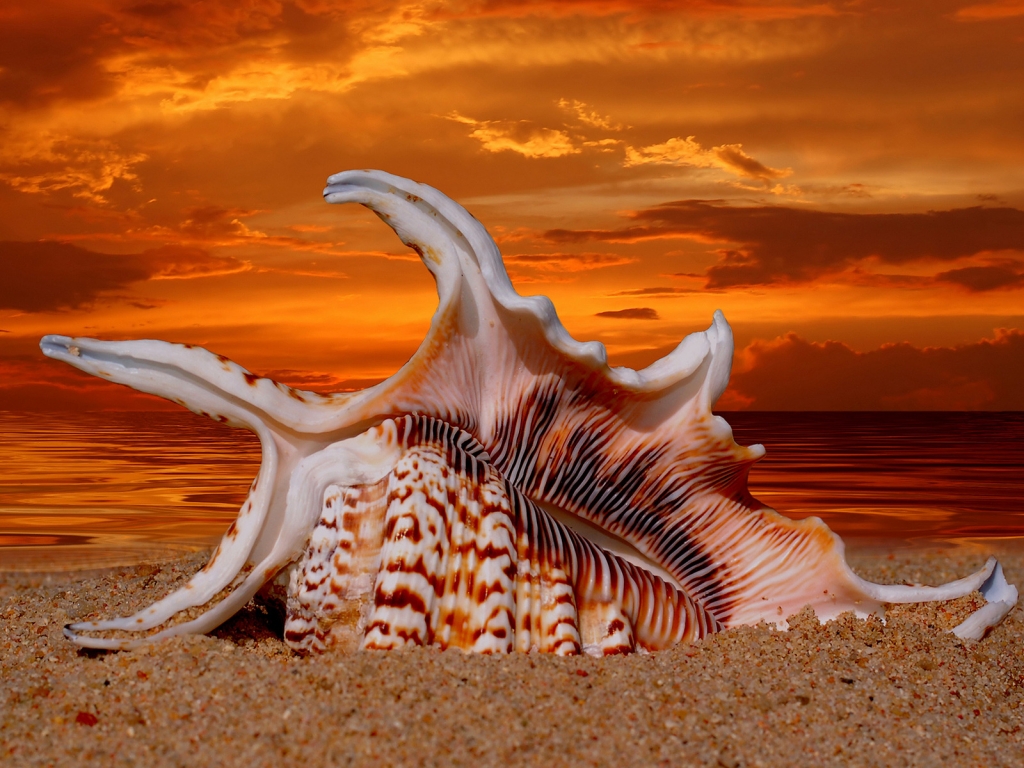Beautiful Sunset Shell for 1024 x 768 resolution