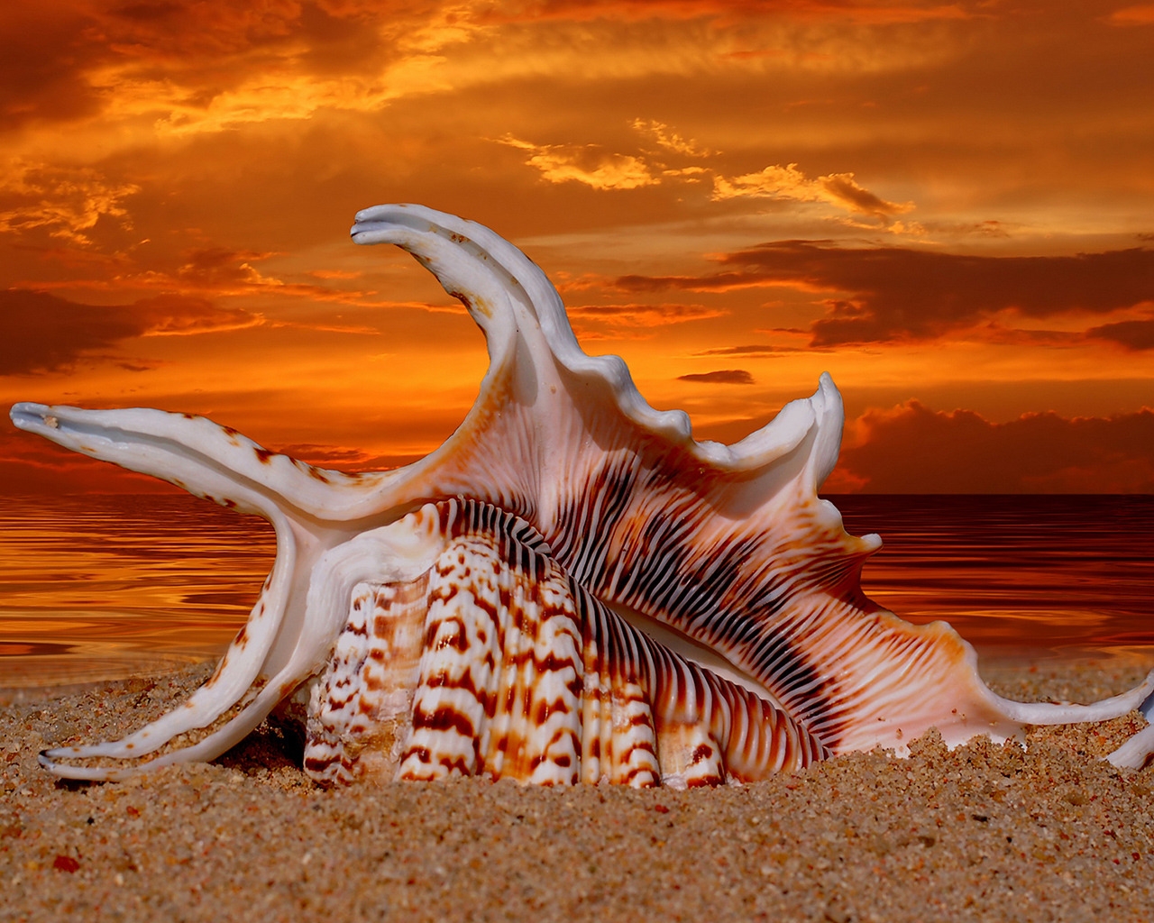 Beautiful Sunset Shell for 1280 x 1024 resolution