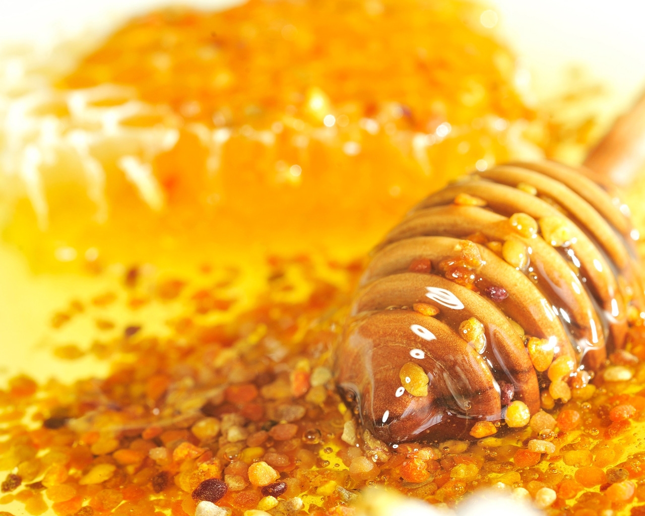 Bee Pollen and Honey for 1280 x 1024 resolution