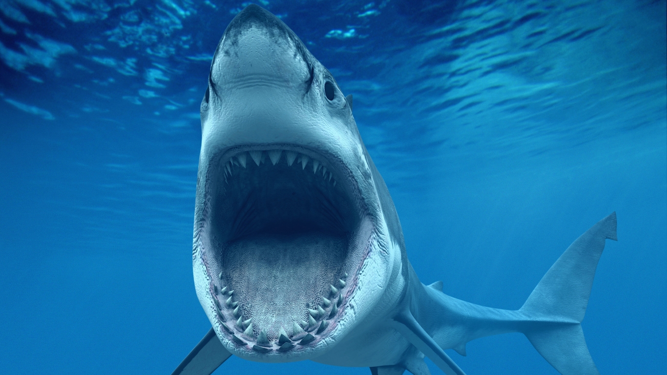 Big White Shark Jaws for 1366 x 768 HDTV resolution