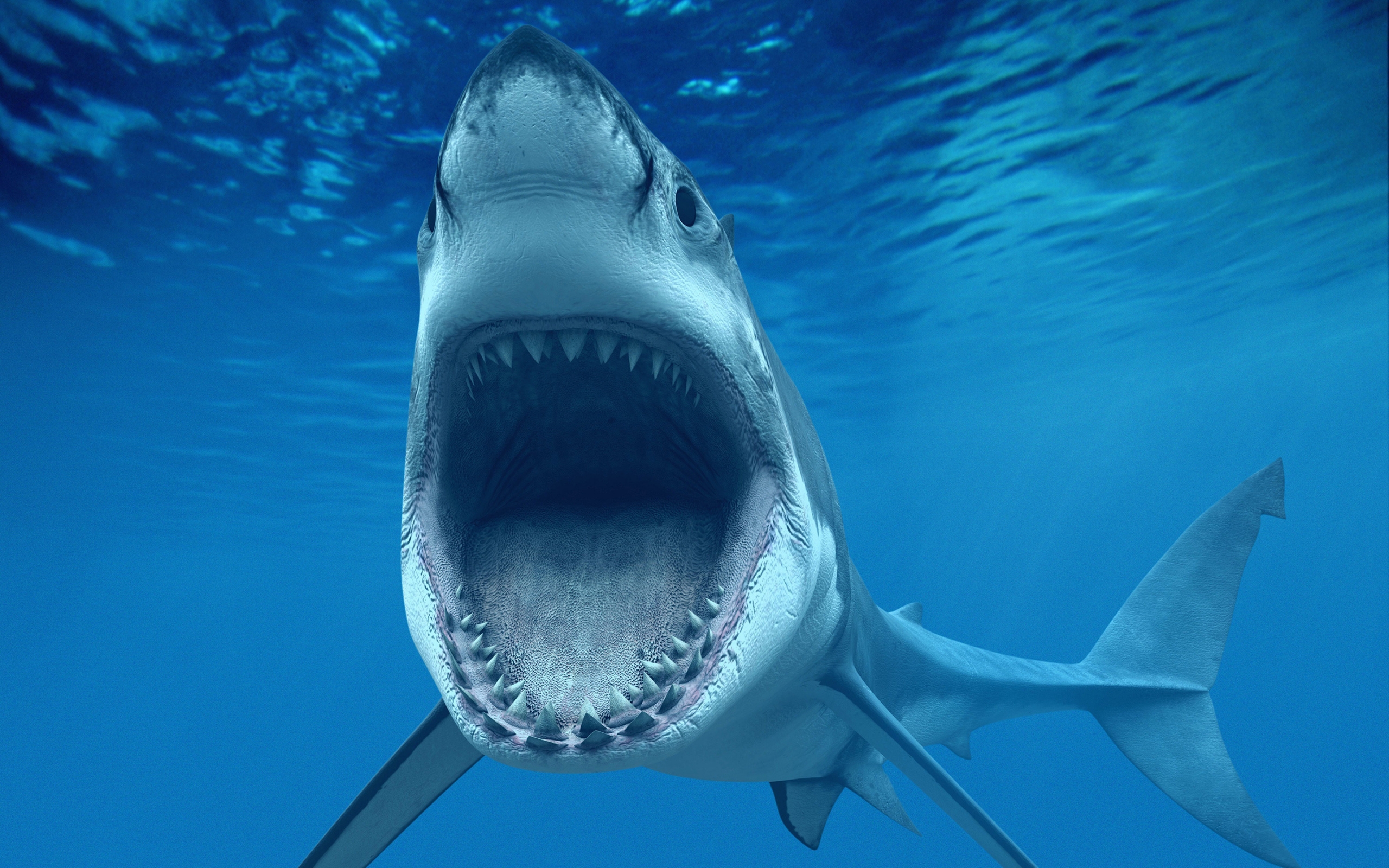 Big White Shark Jaws for 2560 x 1600 widescreen resolution