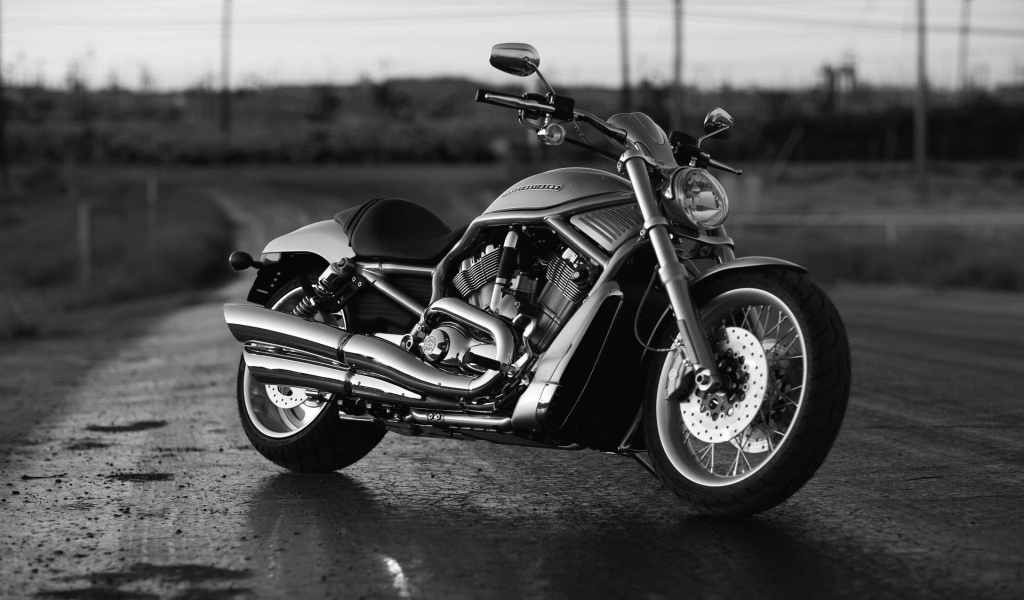 Black Harley Davidson for 1024 x 600 widescreen resolution