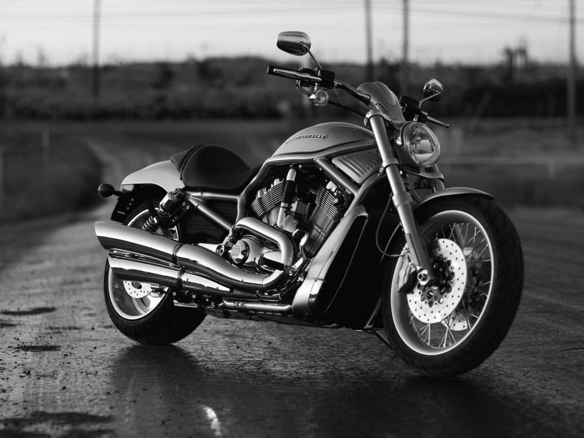 Black Harley Davidson for 1152 x 864 resolution