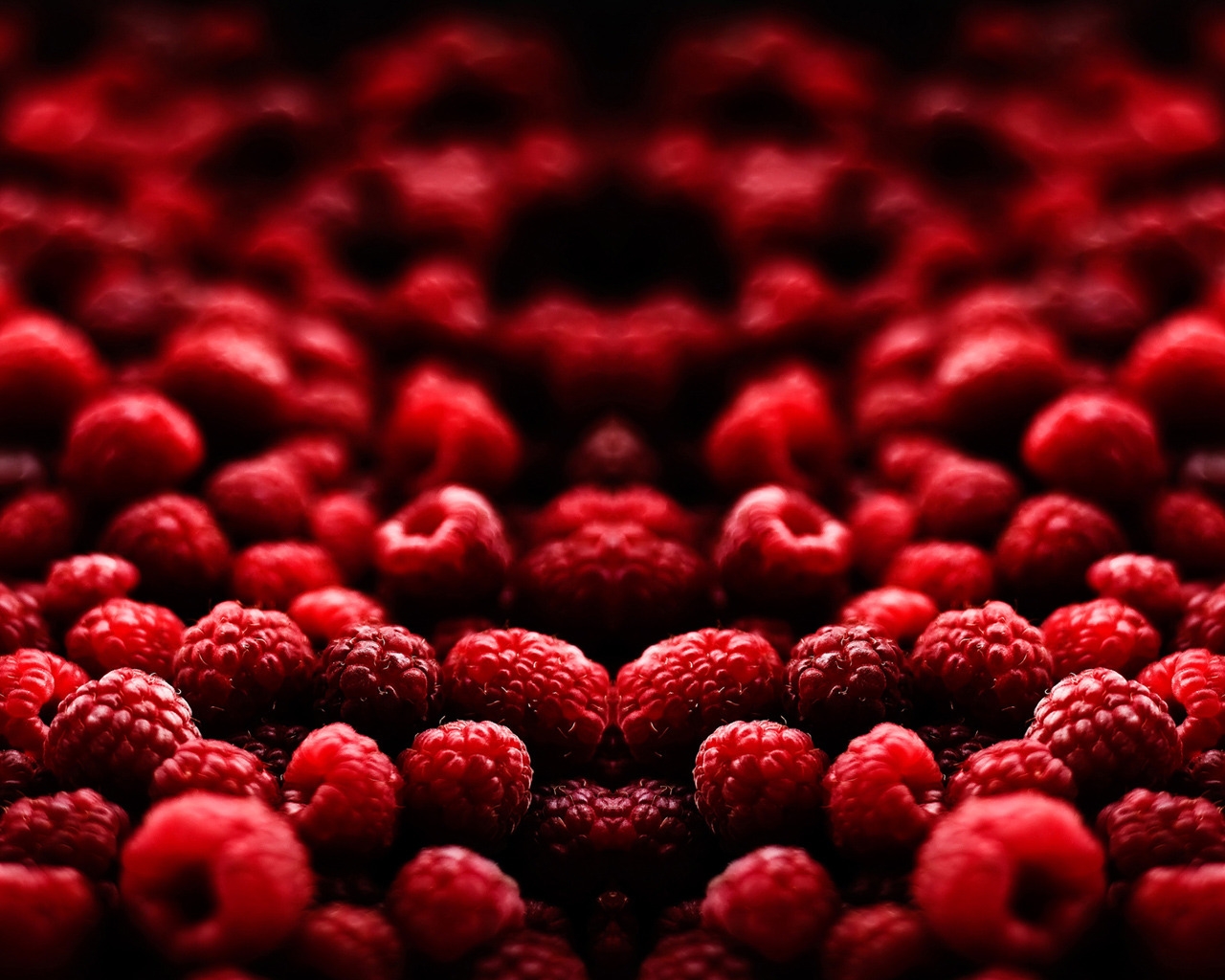 Blood Fruit for 1280 x 1024 resolution
