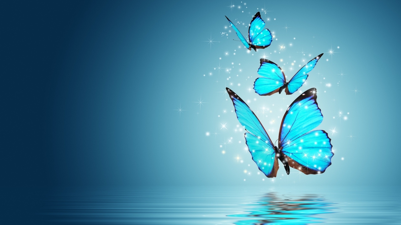 Blue Butterflies for 1280 x 720 HDTV 720p resolution