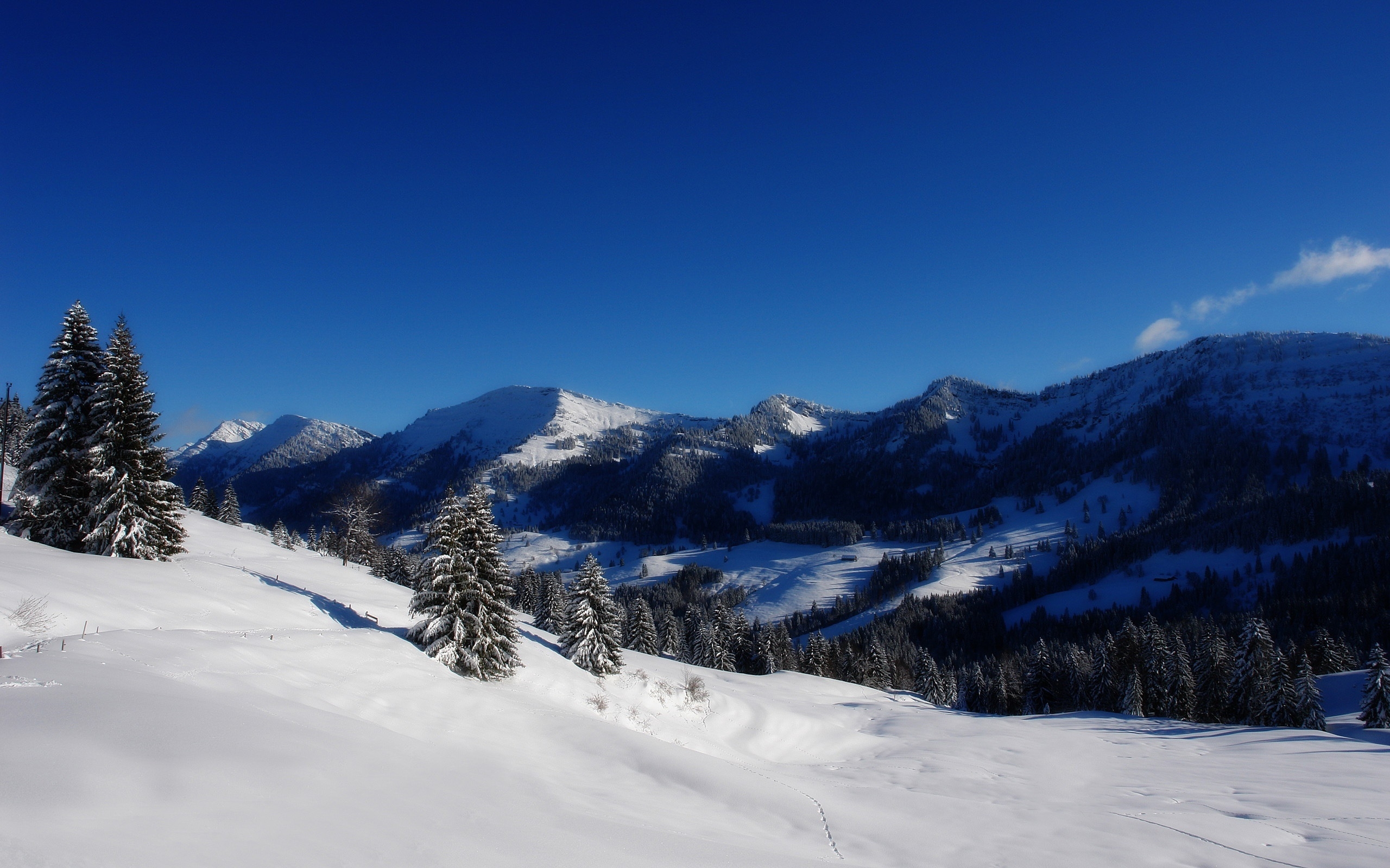 Blue sky in Winter for 2560 x 1600 widescreen resolution