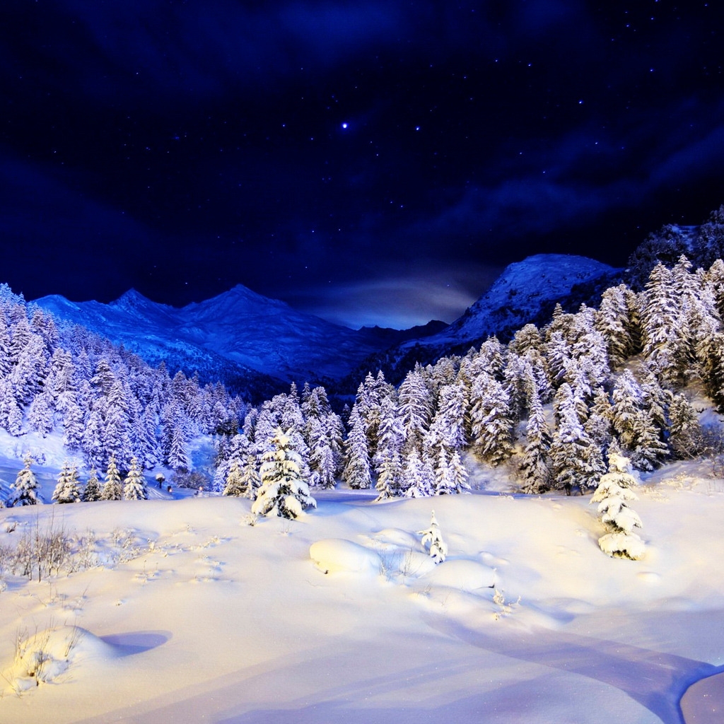 Blue Winter Night for 1024 x 1024 iPad resolution