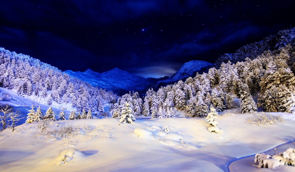 Blue Winter Night for 1024 x 600 widescreen resolution