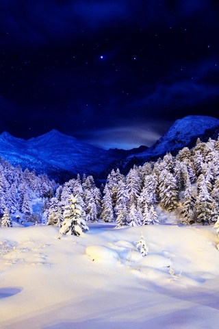 Blue Winter Night for 320 x 480 iPhone resolution