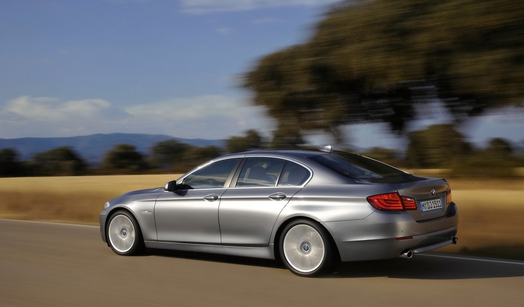 BMW 5 Series Sedan 2010 Rear And Side Speed for 1024 x 600 widescreen resolution