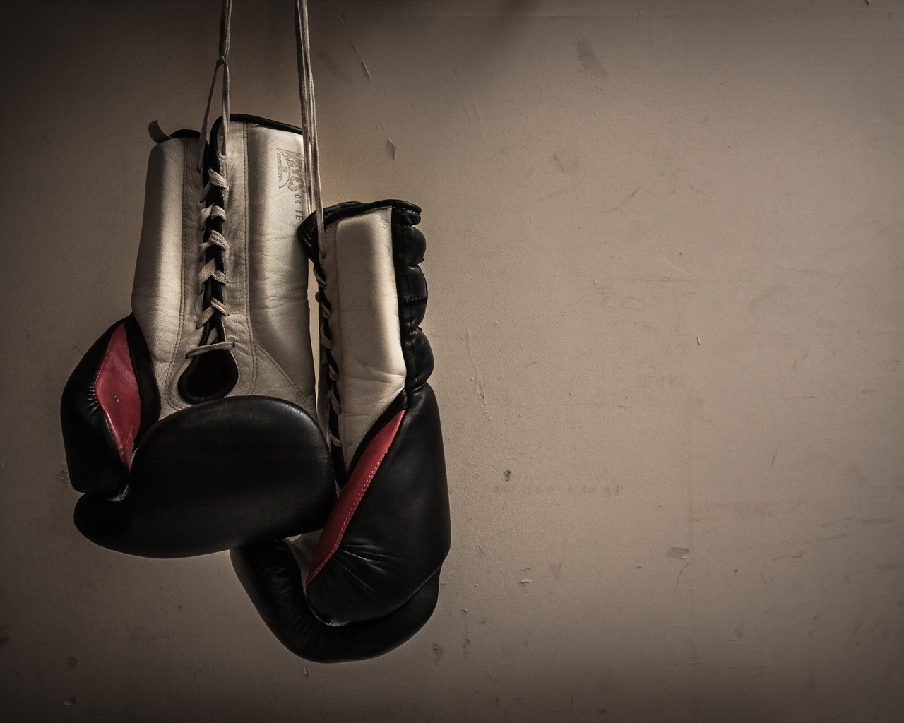 Boxing Gloves Hanging for 1280 x 1024 resolution