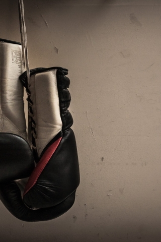 Boxing Gloves Hanging for 320 x 480 iPhone resolution
