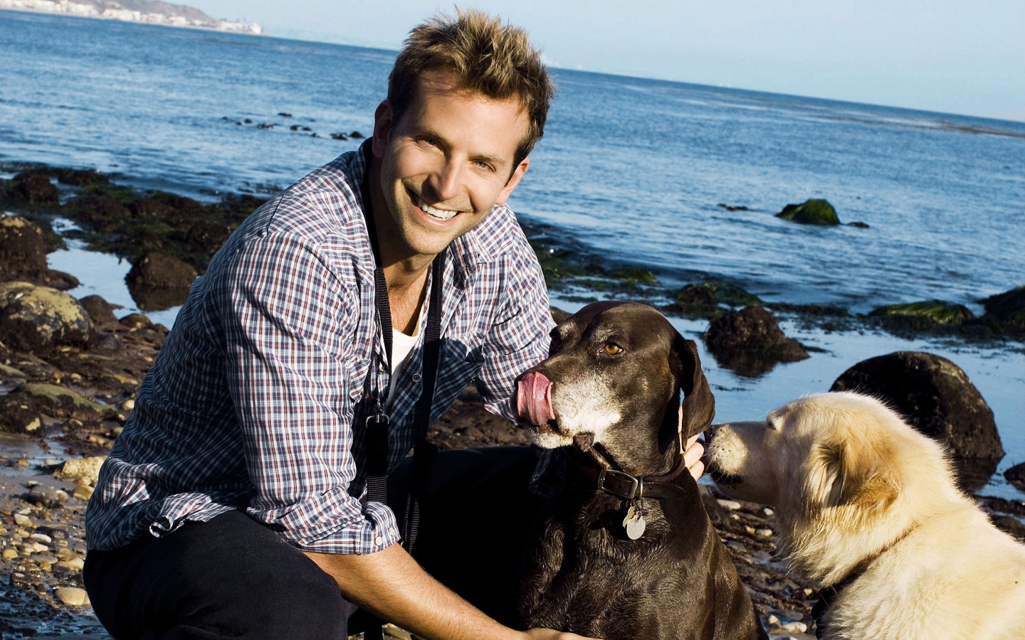 Bradley Charles Cooper for 1440 x 900 widescreen resolution