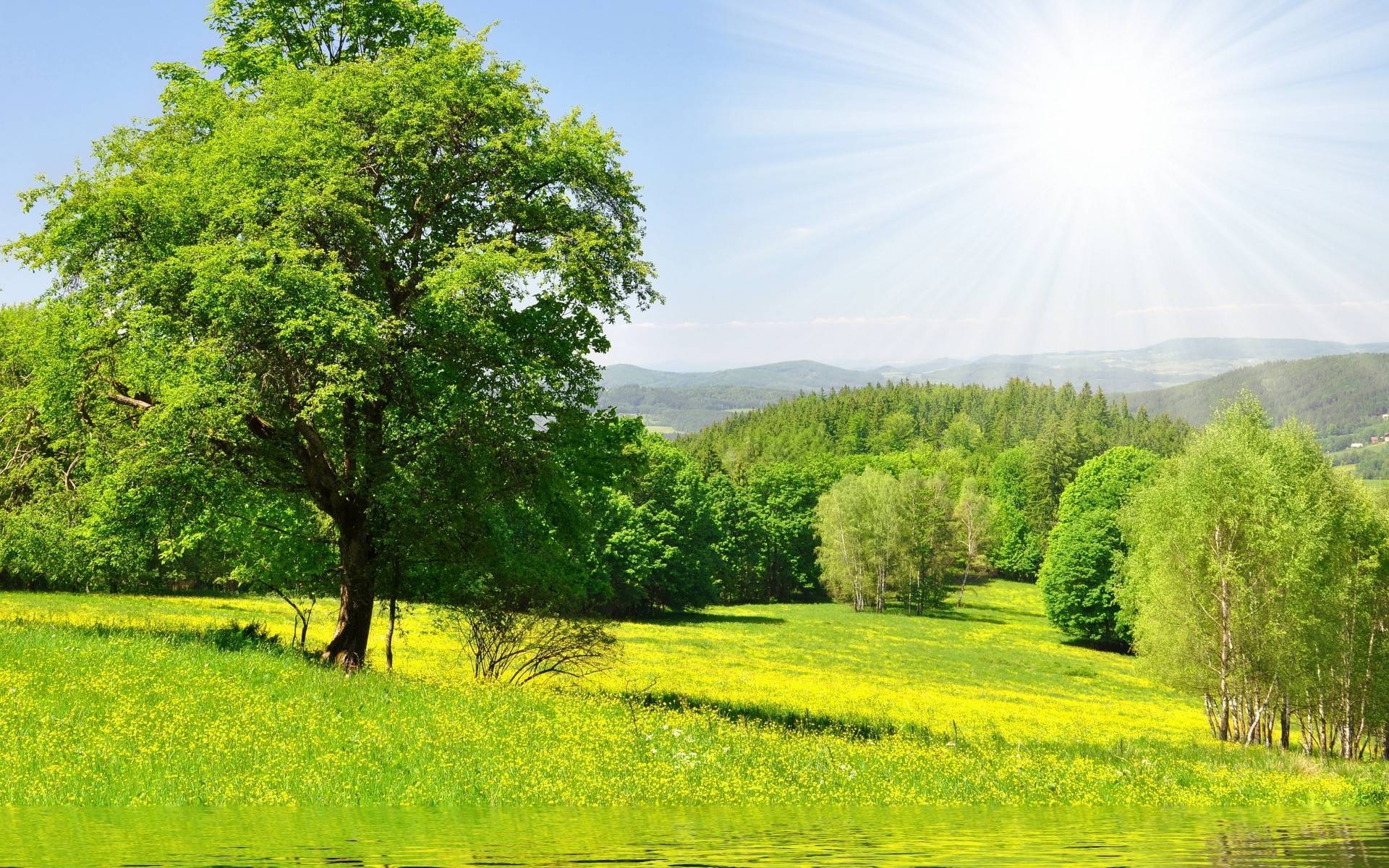 Bright Spring Landscape for 1920 x 1200 widescreen resolution