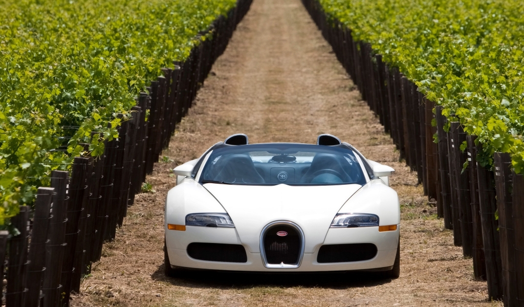 Bugatti Veyron 16.4 Grand Sport 2010 in Napa Valley - Front 3 for 1024 x 600 widescreen resolution