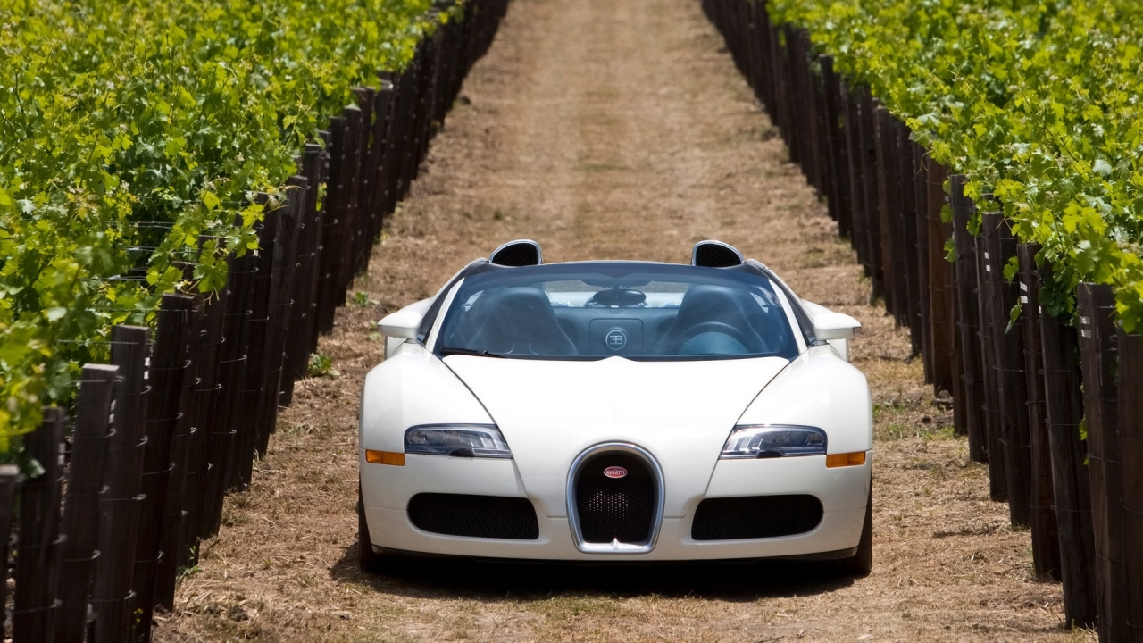 Bugatti Veyron 16.4 Grand Sport 2010 in Napa Valley - Front 3 for 1280 x 720 HDTV 720p resolution