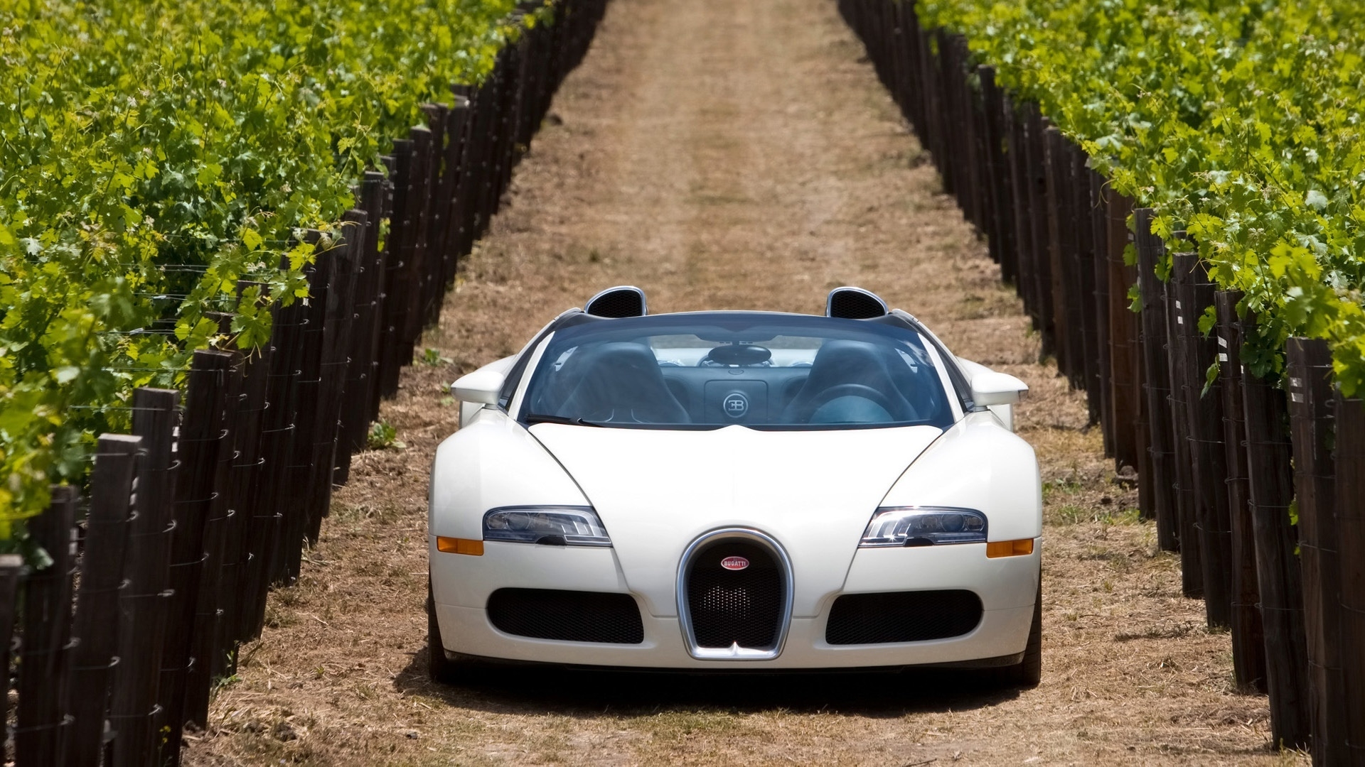 Bugatti Veyron 16.4 Grand Sport 2010 in Napa Valley - Front 3 for 1920 x 1080 HDTV 1080p resolution