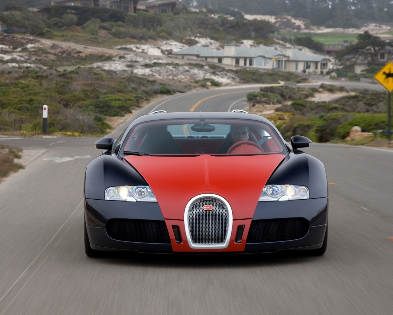 Bugatti Veyron Fbg 2009 par Hermes New Color Combinations - Front for 1280 x 1024 resolution