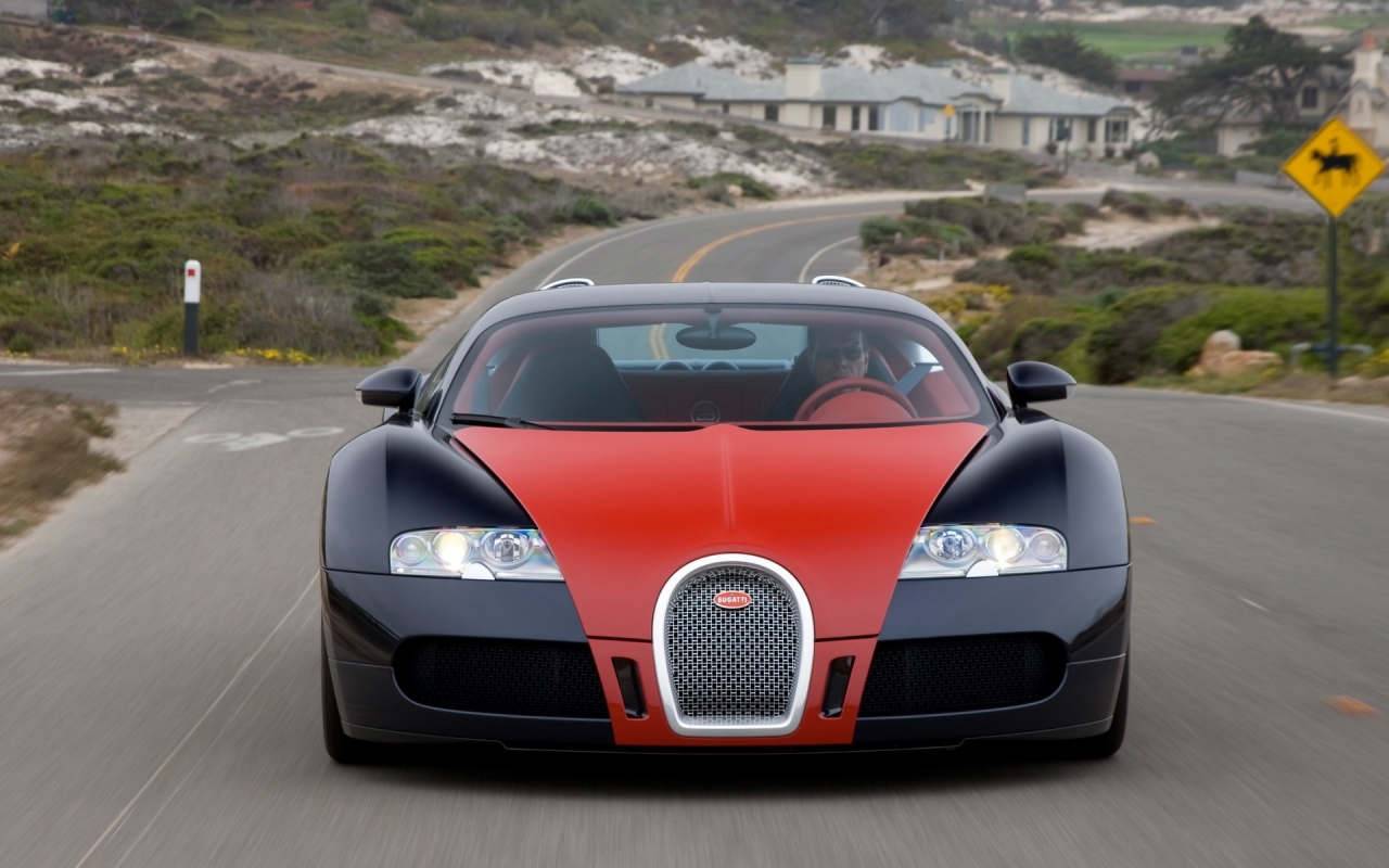 Bugatti Veyron Fbg 2009 par Hermes New Color Combinations - Front for 1280 x 800 widescreen resolution