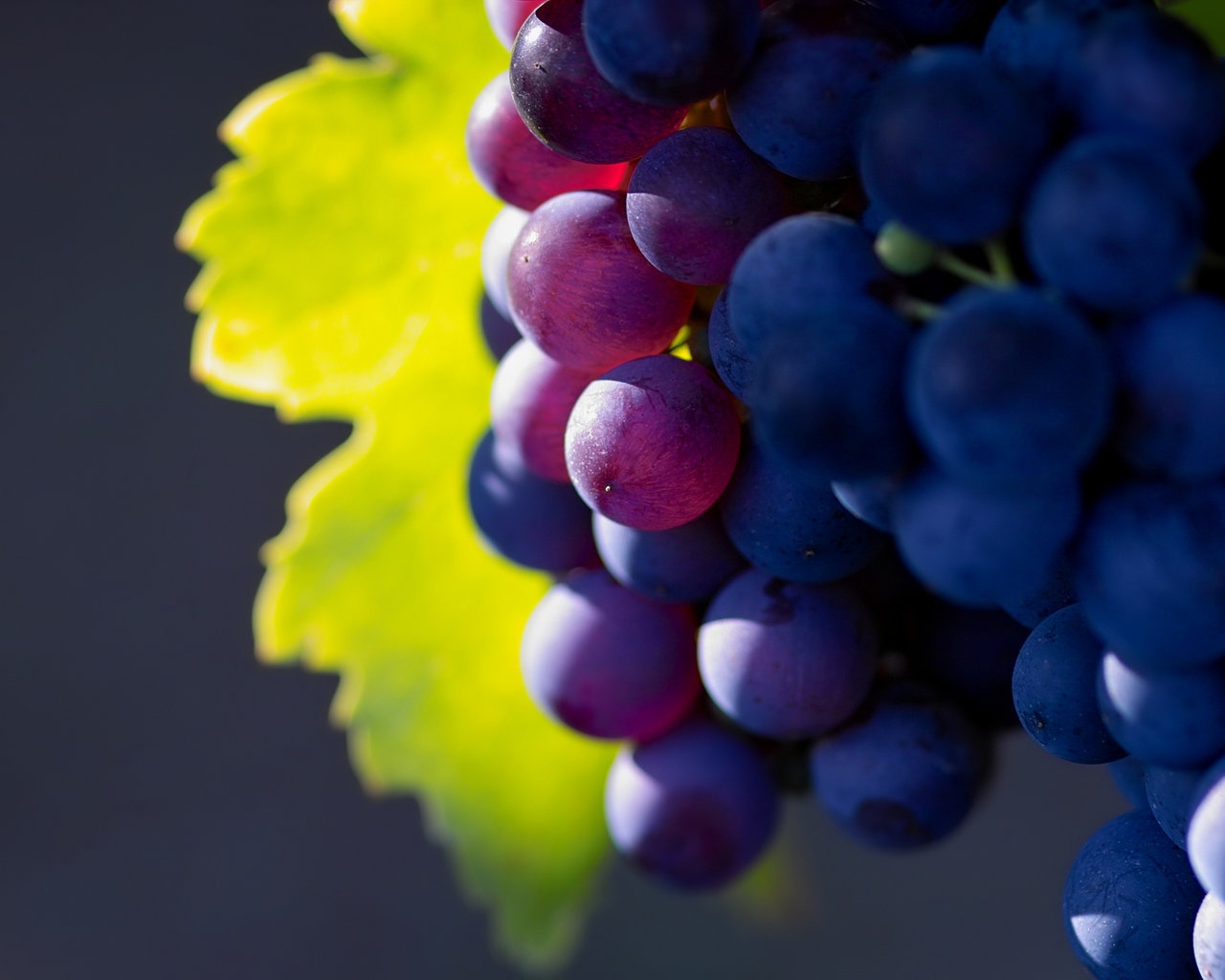 Bunch of Grapes for 1280 x 1024 resolution