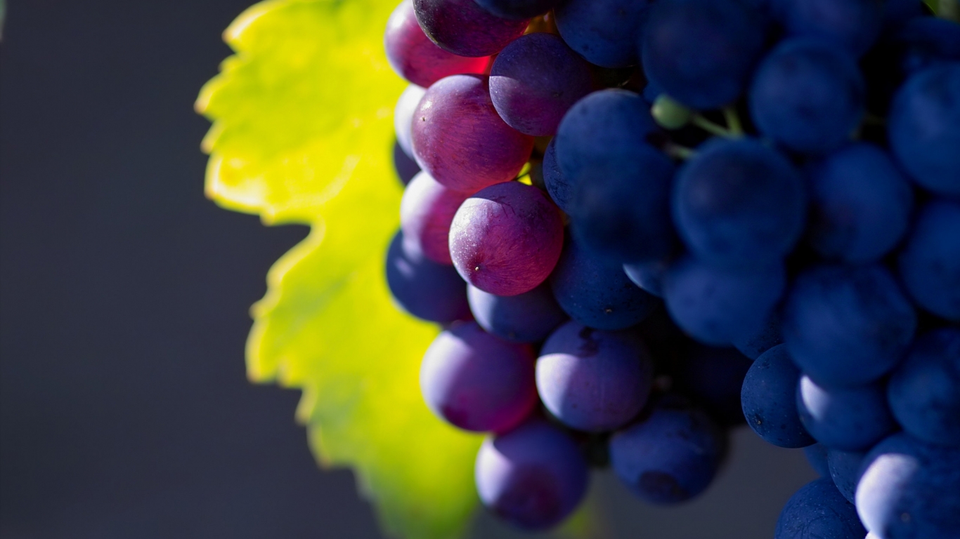 Bunch of Grapes for 1366 x 768 HDTV resolution