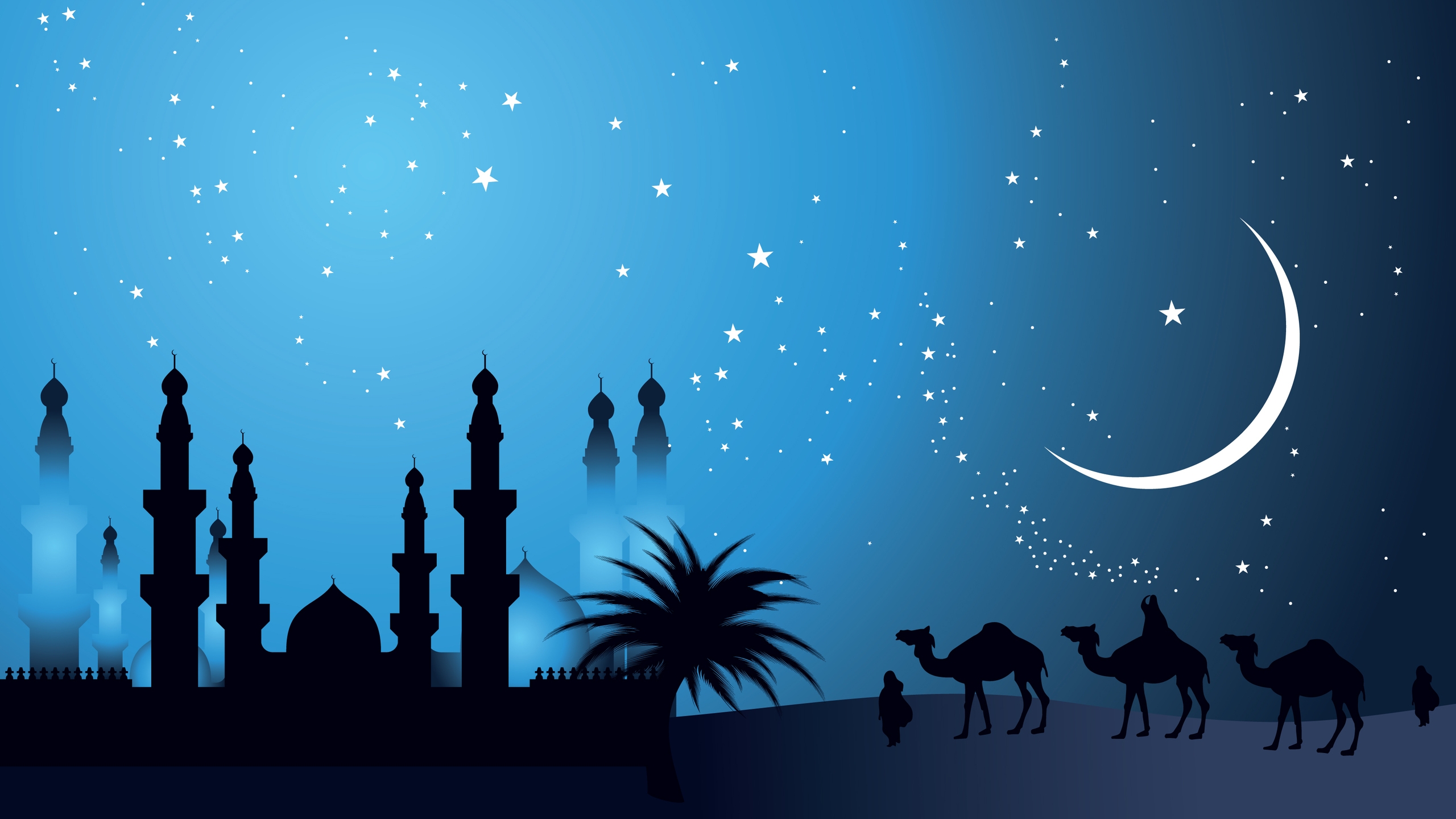 Camels in The Night for 2560x1440 HDTV resolution
