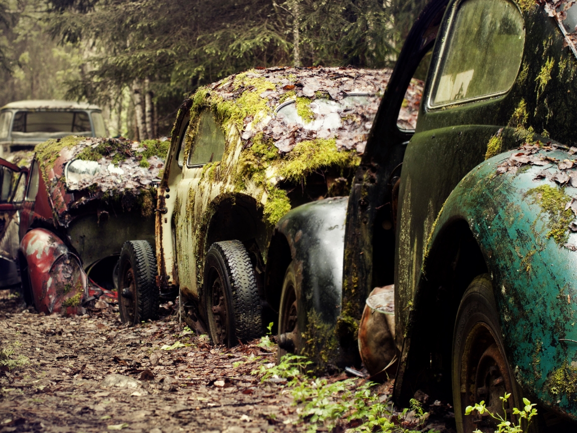 Classic Cars Damaged for 1152 x 864 resolution