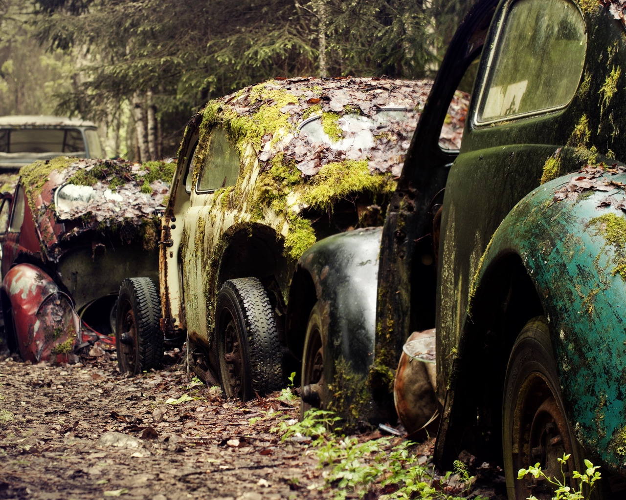 Classic Cars Damaged for 1280 x 1024 resolution