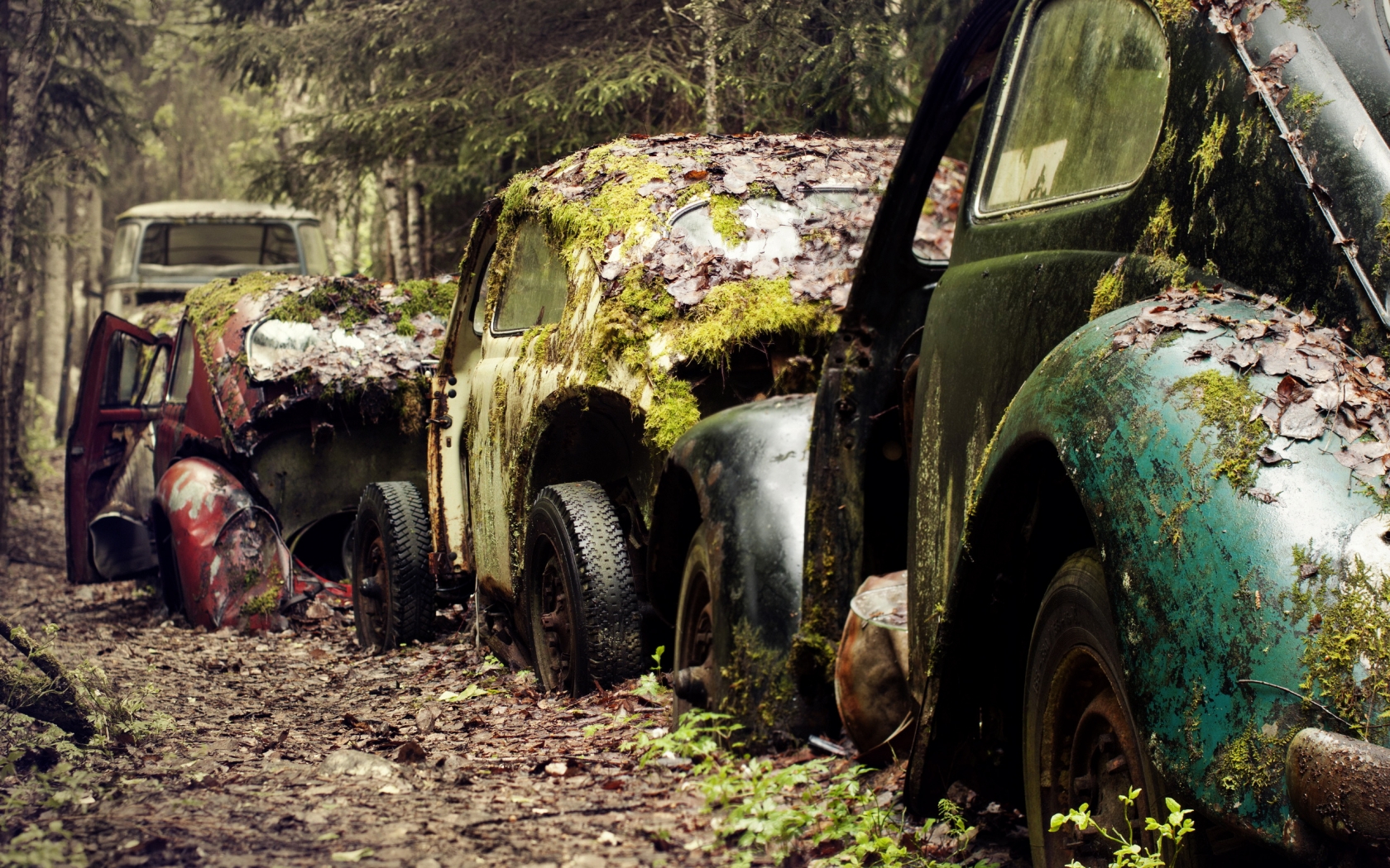 Classic Cars Damaged for 1680 x 1050 widescreen resolution