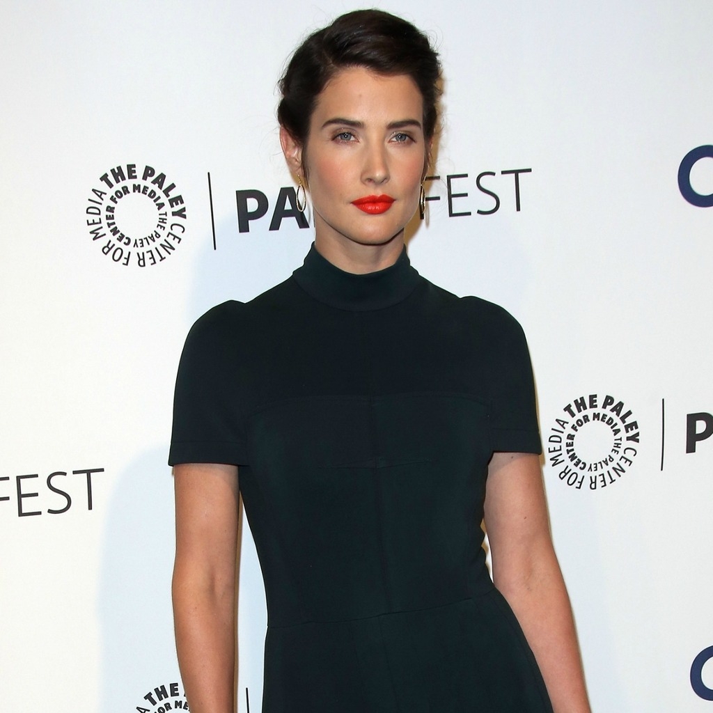 Cobie Smulders Paley Fest for 1024 x 1024 iPad resolution