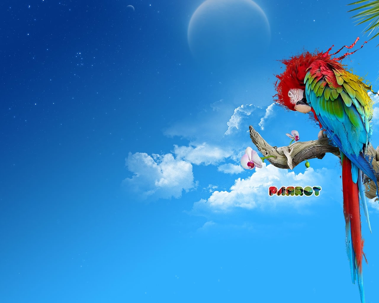 Colourful Parrot for 1280 x 1024 resolution