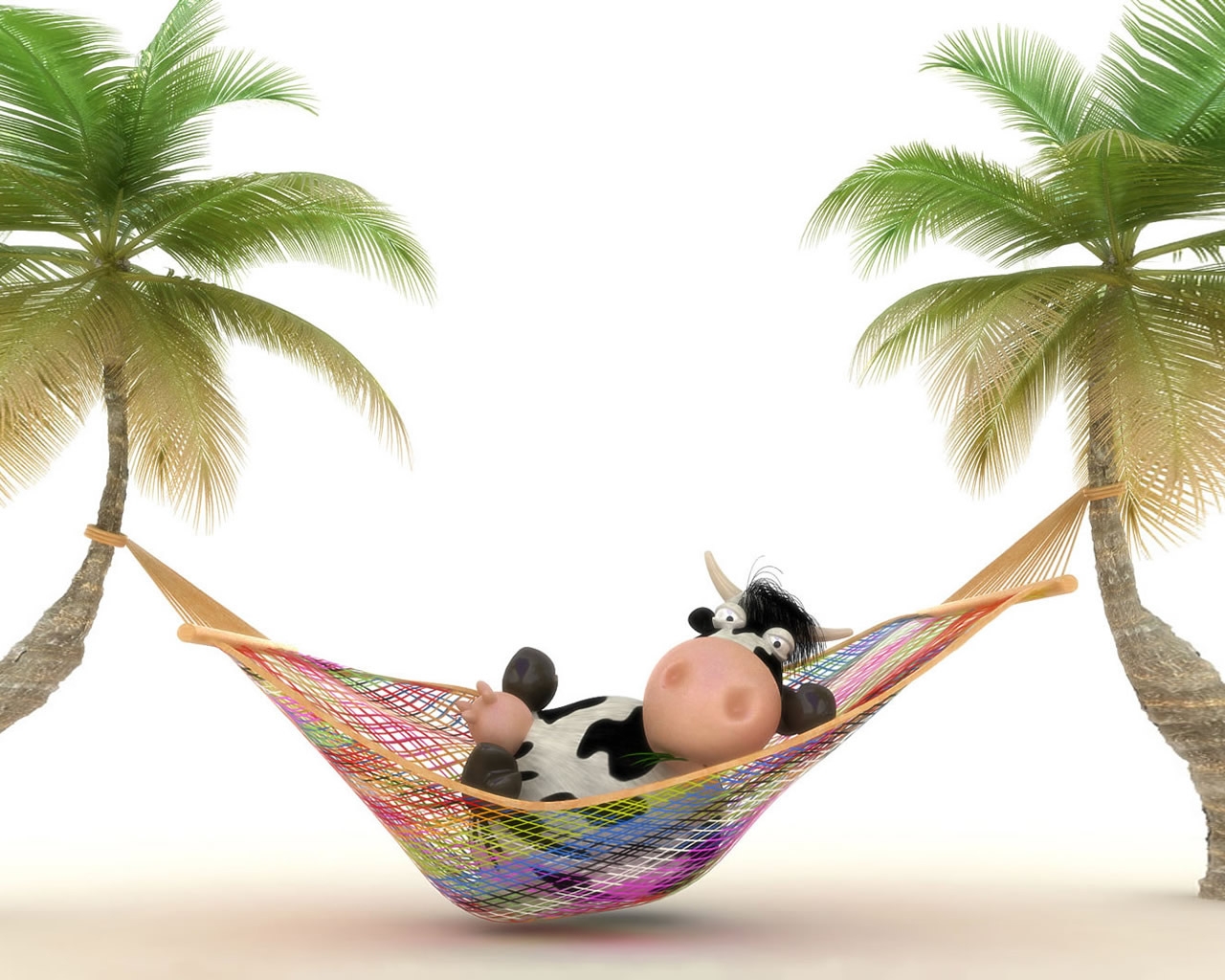 Cow relaxing in Hammock for 1280 x 1024 resolution