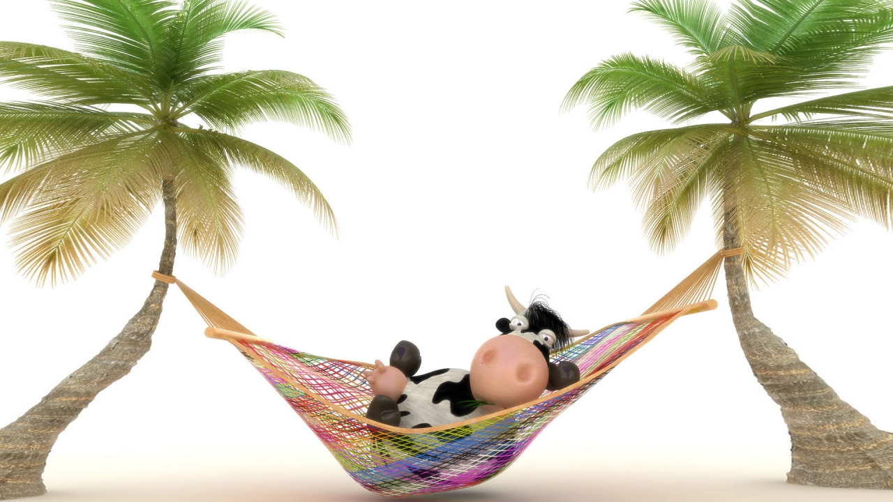 Cow relaxing in Hammock for 1280 x 720 HDTV 720p resolution