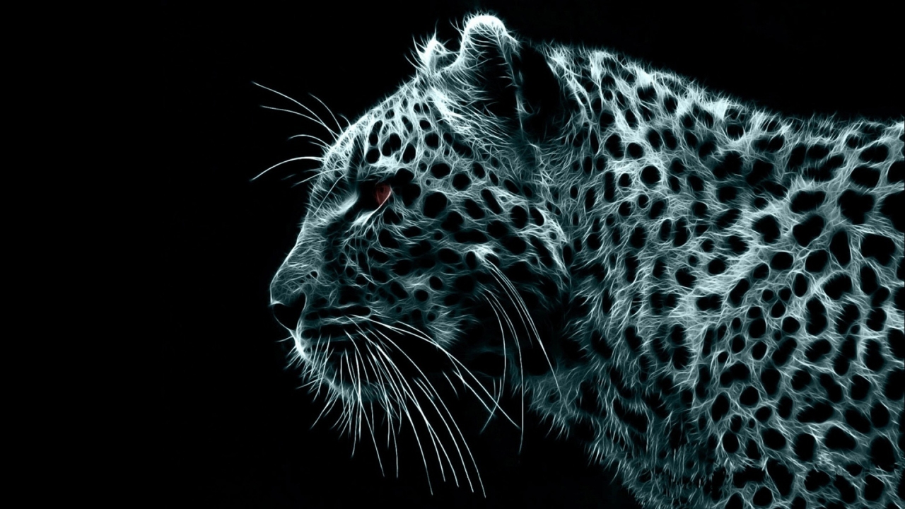 Crazy Leopard for 1280 x 720 HDTV 720p resolution