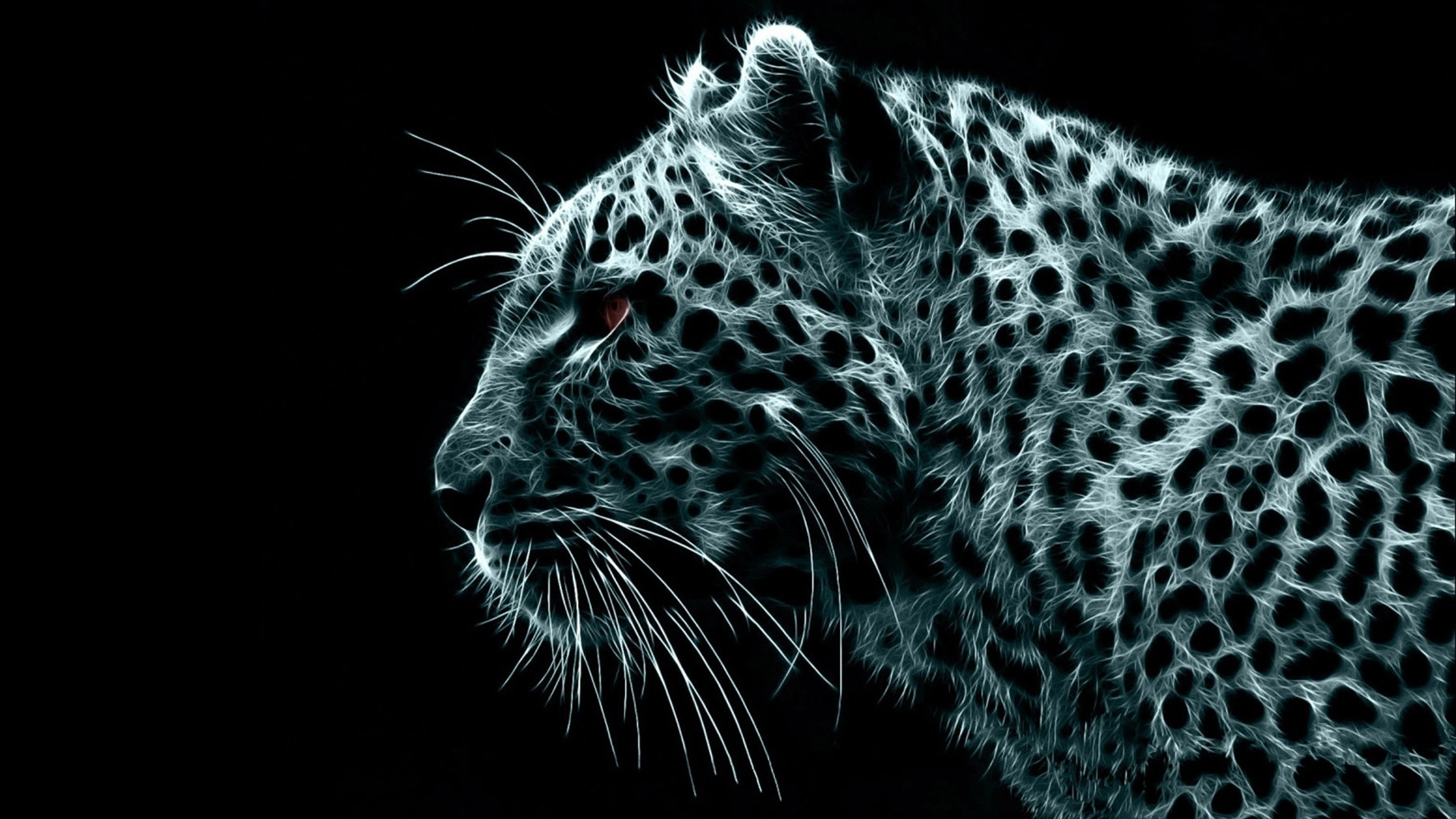 Crazy Leopard for 1920 x 1080 HDTV 1080p resolution