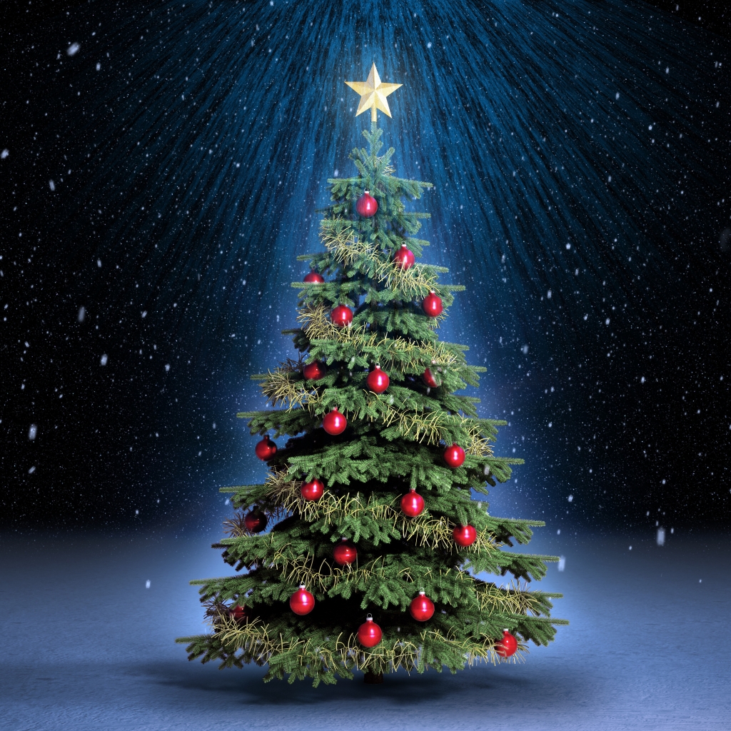 Cute Christmas Tree for 1024 x 1024 iPad resolution