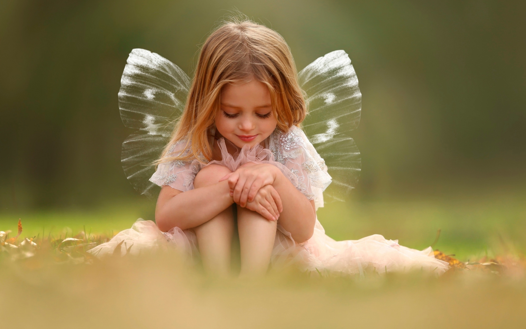 Cute Little Fairy for 1680 x 1050 widescreen resolution