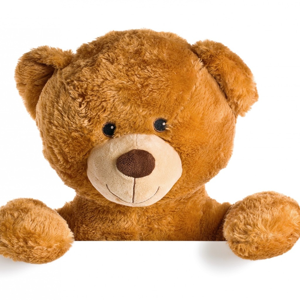 Cute Teddy Bear for 1024 x 1024 iPad resolution