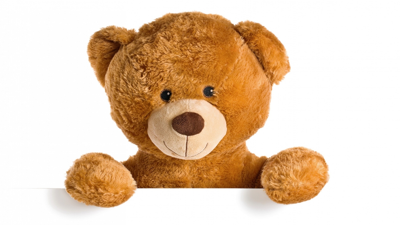 Cute Teddy Bear for 1366 x 768 HDTV resolution
