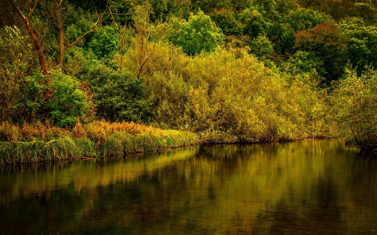Derbyshire Park Landscape for 1280 x 800 widescreen resolution