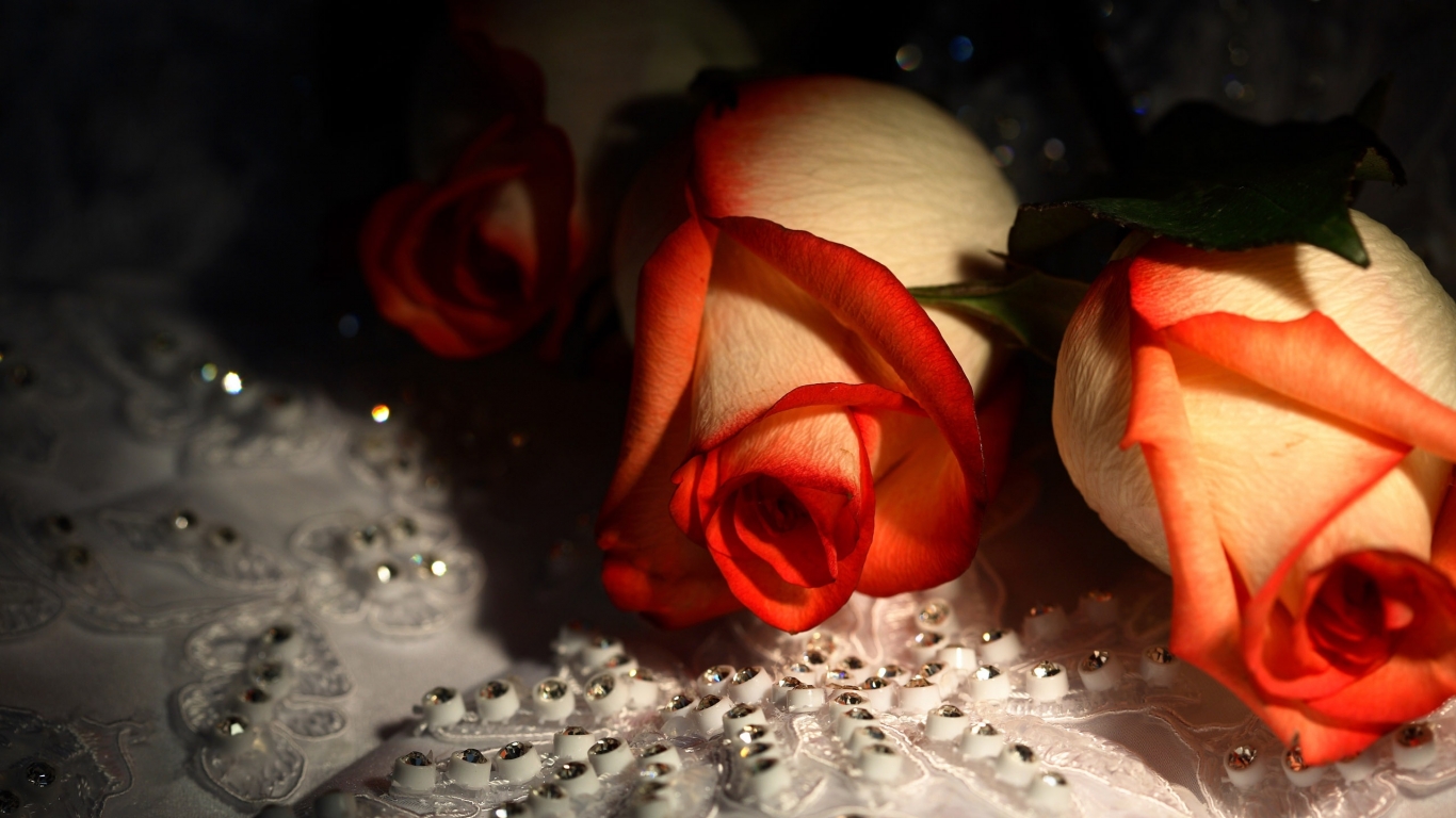 Diamonds and Roses for 1366 x 768 HDTV resolution