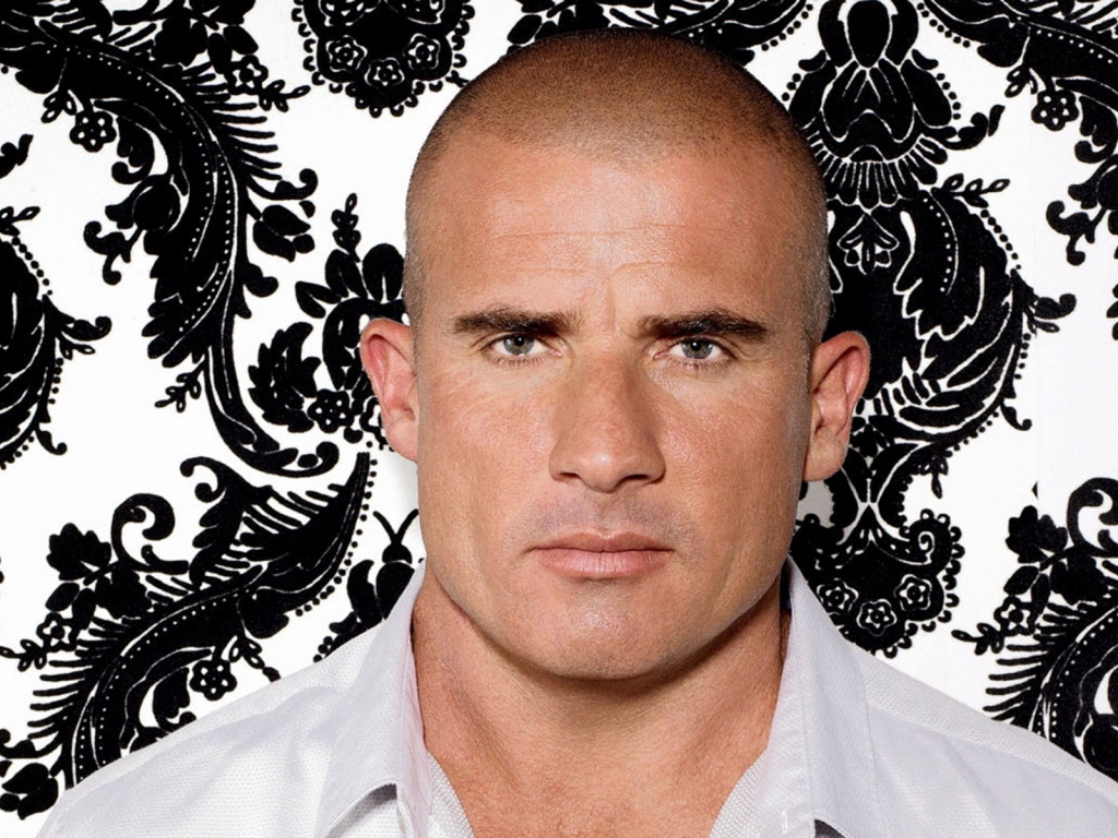 Dominic Purcell for 1024 x 768 resolution