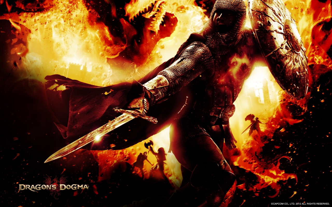 Dragons Dogma Fighter for 1280 x 800 widescreen resolution