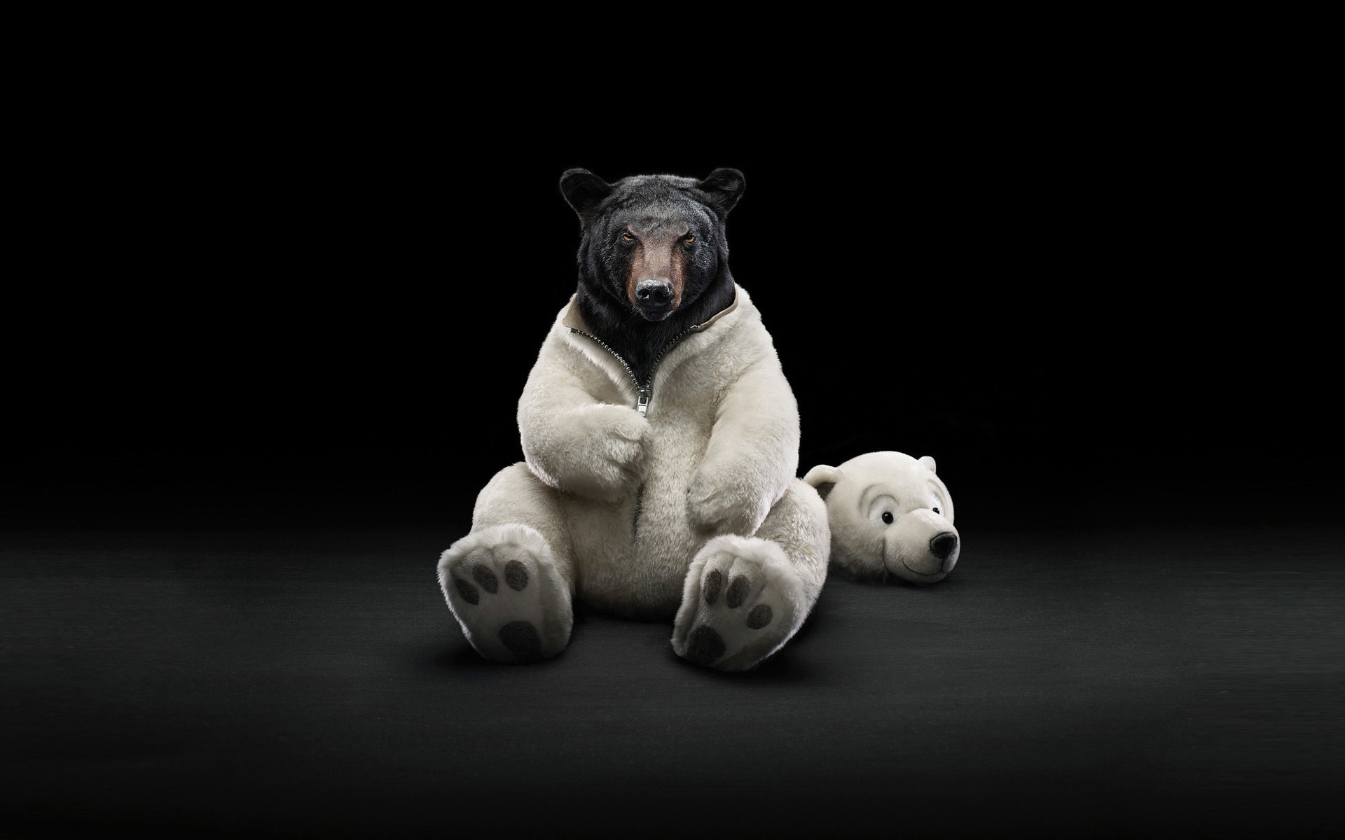 Dressed Bear for 1920 x 1200 widescreen resolution